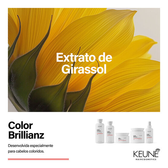COLOR BRILLIANZ COLOR BRIPROTECT SPRAY